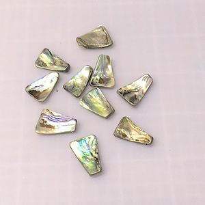 Natural Paua Shell Rounded Triangle Drop Beads.